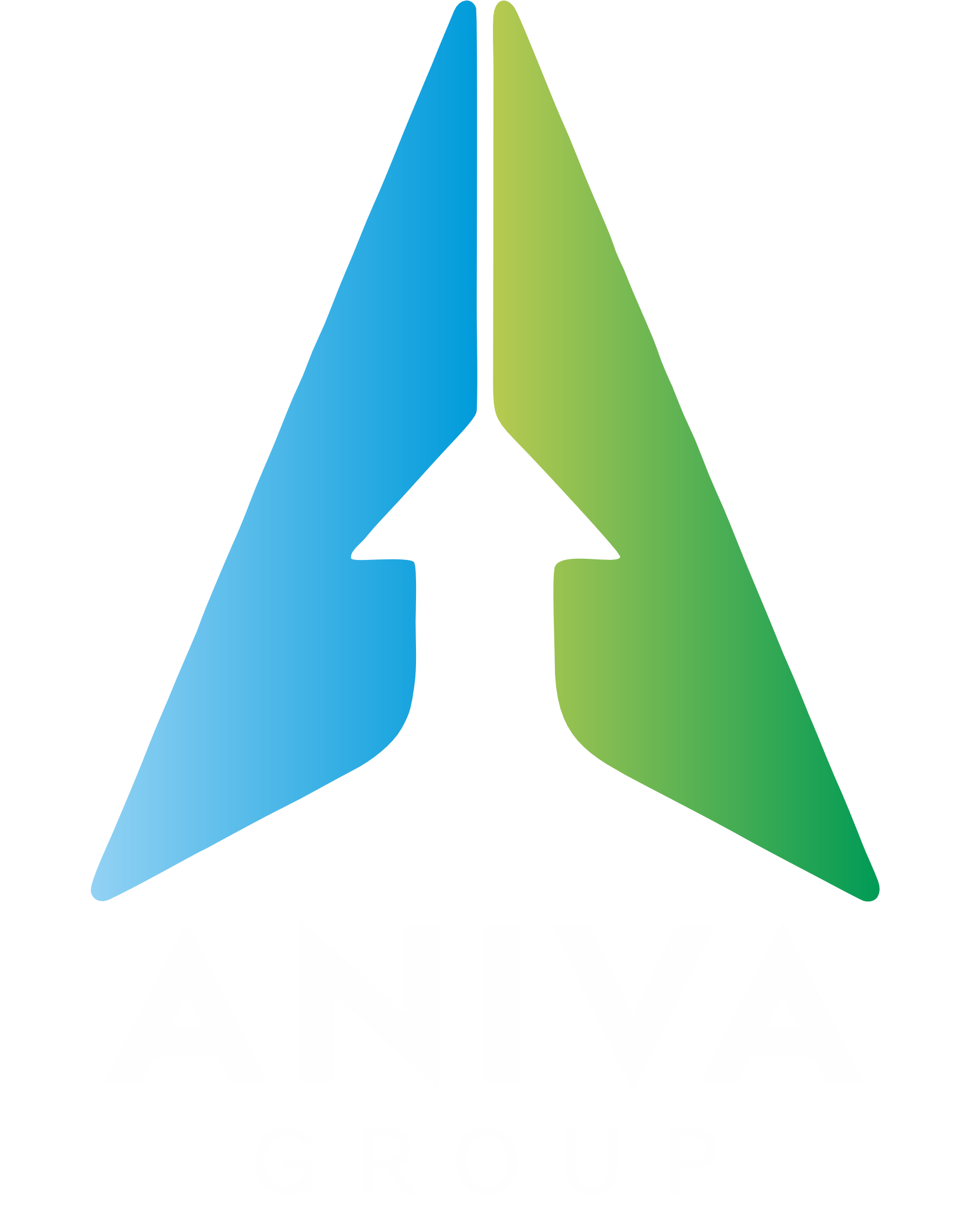 Aniva Group